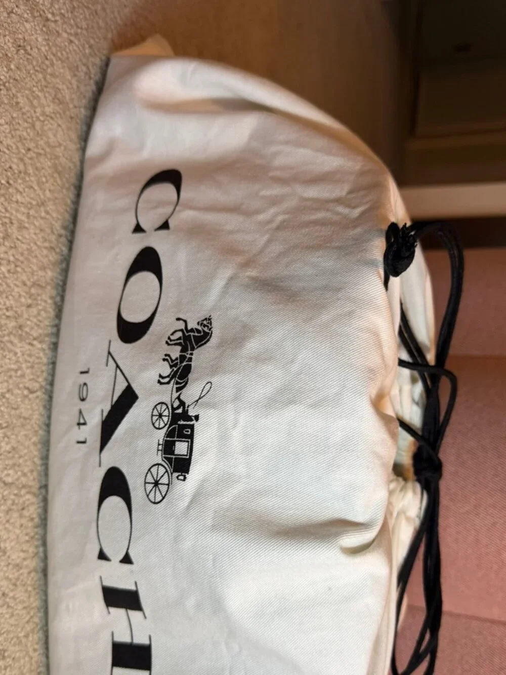Coach X Keith Haring Rogue 25